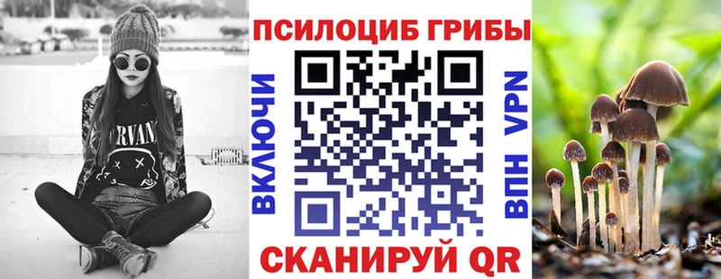где продают   omg зеркало  Галлюциногенные грибы ЛСД  Североморск 