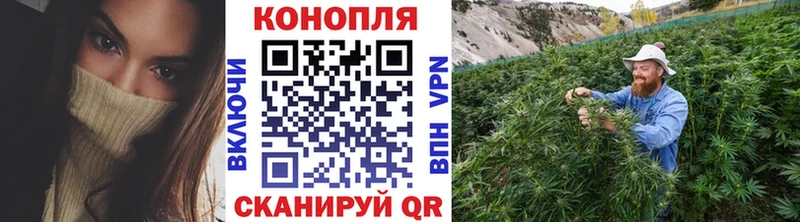 Марихуана Ganja  OMG ссылки  Североморск  где купить  